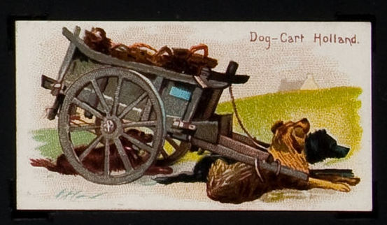 Dog Cart Holland